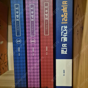 비부명리 중급편, 고급편, 천간론 (사주명리학 도서)