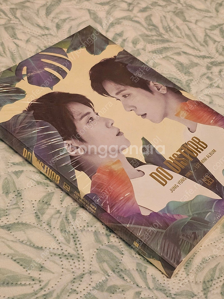 정용화 씨엔블루 미니앨범 1집 DO DISTURB CD...--3