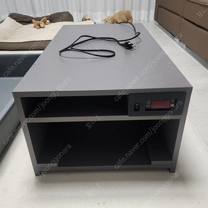 정글펫 뱀 도마뱀 파충류사육장