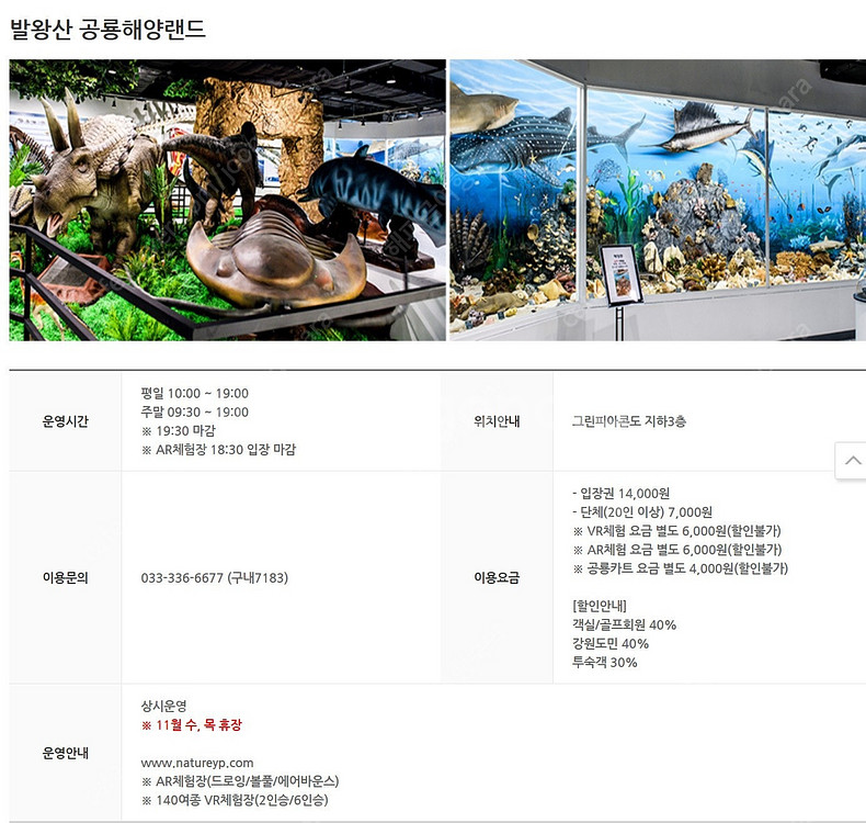 용평리조트~루지~마운틴코스터~애니포레~피크아일랜드 워터...--4