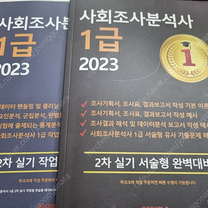 사회조사분석사 1급 소정현 2023 2차 서술+실기
