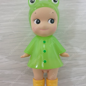 소니엔젤 레이니데이 개구리