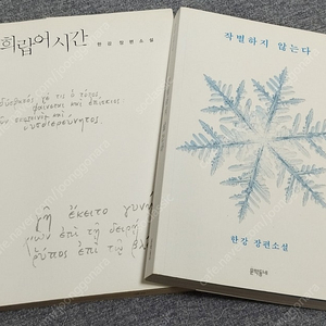 한강 작별하지 않는다, 희랍어 시간 2권
