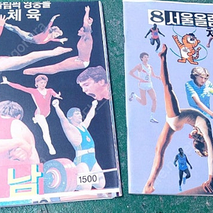 88올림픽 화보집 팝니다 책 체육 서울올림픽 김영남 축구 농구 수영 고전