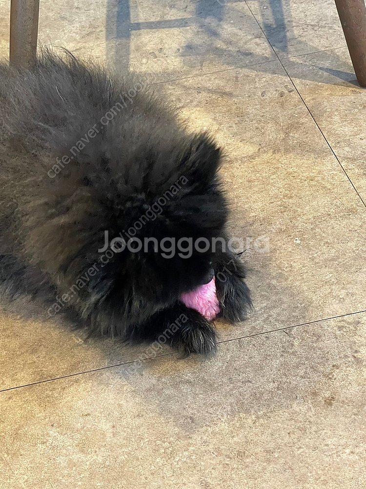 g70 18인치 페리순정휠 / 19인치 스포츠휠 삽니다--0