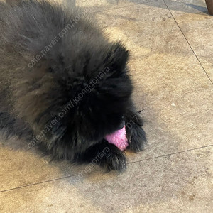 g70 18인치 페리순정휠 / 19인치 스포츠휠 삽니다