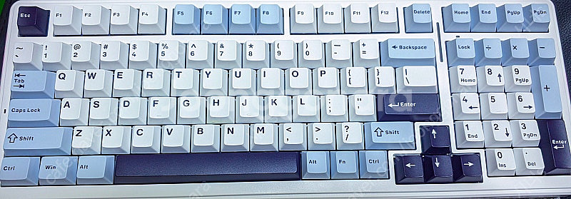 독거미 F99 경해축--0