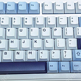 독거미 F99 경해축