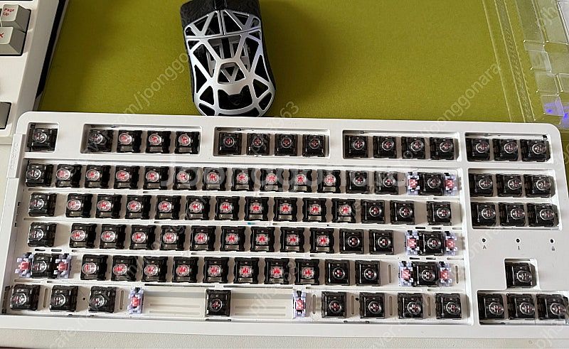 다얼유 TKL 8k기판에 거인에 심장 스위치 체결, 체...--0