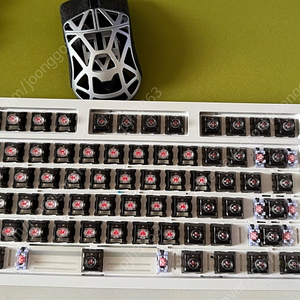 다얼유 TKL 8k기판에 거인에 심장 스위치 체결, 체리프로파일 키캡 빌드업 판매