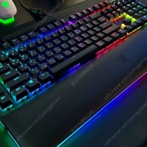 레이저 블랙위도우 v4 pro