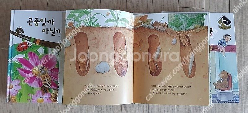 한국헤밍웨이쇠똥구리과학그림책(59)사진과세밀화로보는자연...--4