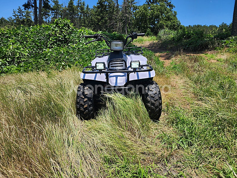중고 사발이 atv lt160 팝니다--0