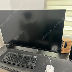 lg 4k모니터 32인치 32UN880K