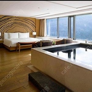 [급]반얀트리 남산 풀디럭스 이번주 7월5(토)-6일(일) 숙박양도합니다
