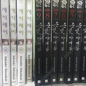 은빛 마계왕
