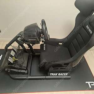 트러스트마스터t300rs(3페달) + th8a쉬프터 + 핸드브레이크 + 거치대풀세트(급매)