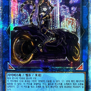 유희왕카드게임