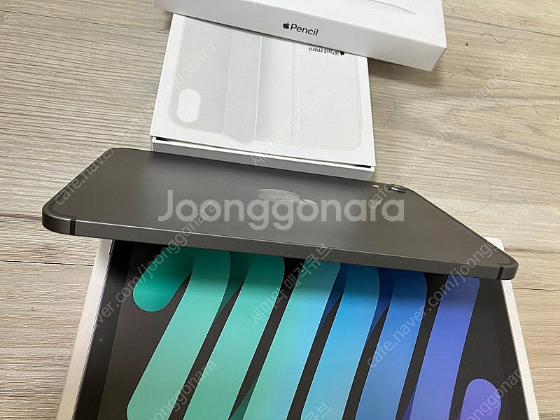 북미(카메리 무음)아이패드 미니6 셀룰러 64GB + ...--6