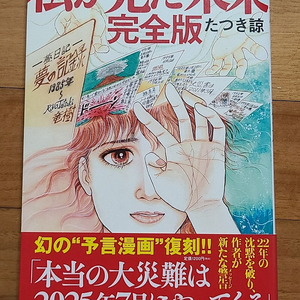 일본원서 일본예언서 내가 본 미래 완전판 타츠키 료 작가
