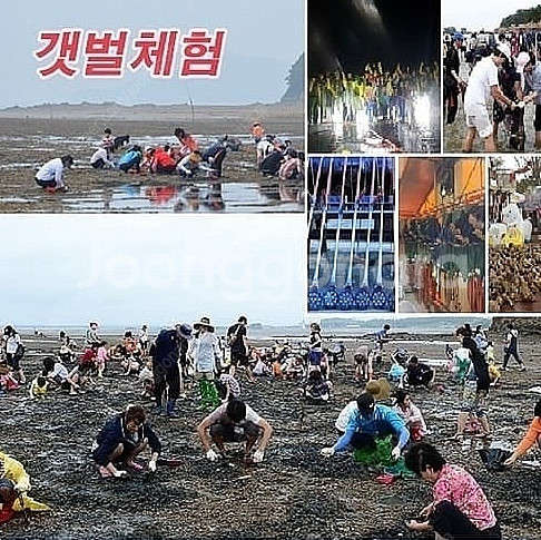 태안 안면도펜션 갯벌체험.해루질체험 낚시체험 한방에 즐...--8