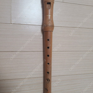 Hohner 리코더