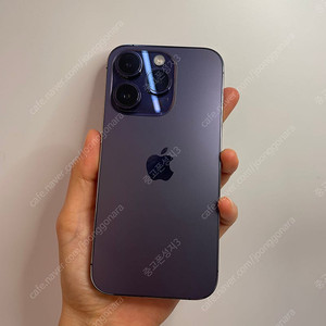 03003(울산중고폰) 아이폰14프로 배터리성능 81% 퍼플 512GB 판매합니다 70만원 텔레그램OK