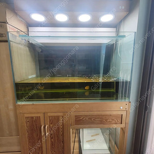 4자 편백나무 원목수조, 축양장 및 상면여과기 일체 분양 합니다.