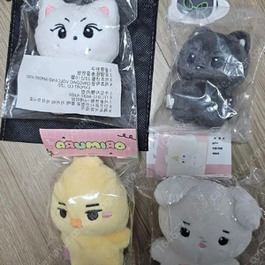 엔하이픈 인형 미개봉 양도 정원 제이 양꼬미 쫑큘라 오