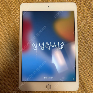 아이패드 미니4 골드 16G WIFI 팝니다.