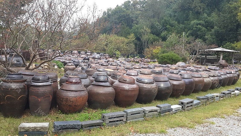 항아리(다양) 정리합니다