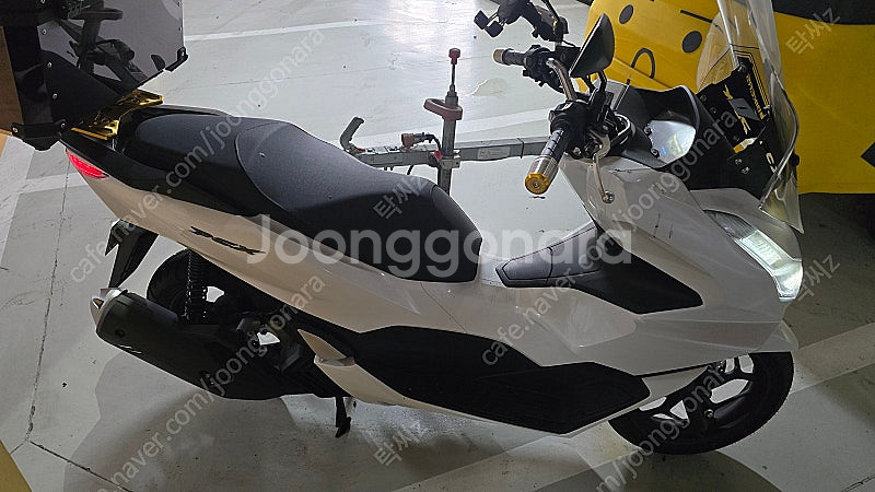 24년식 PCX125--0