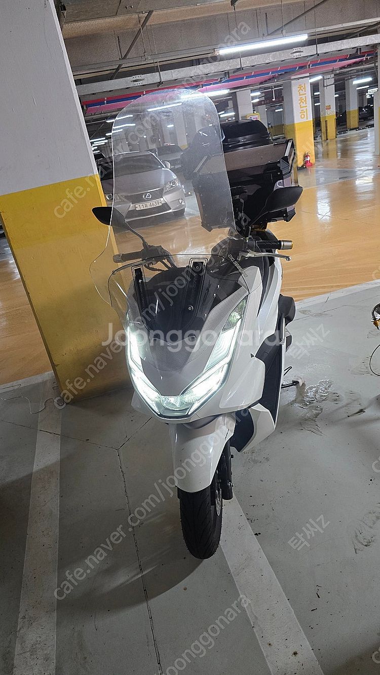 24년식 PCX125--2