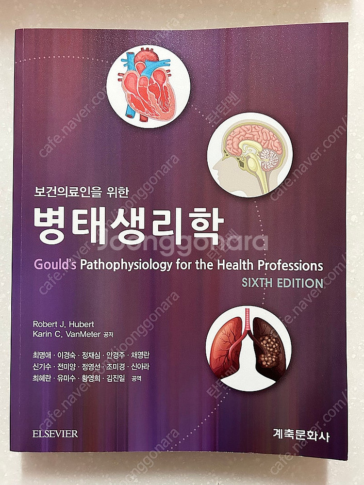 간호 전공서적 (성인간호학, 모성간호학, 기본간호학, ...--3