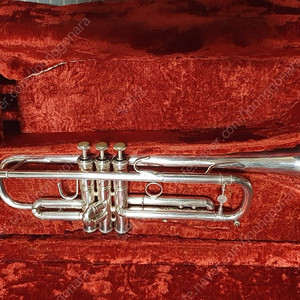홀톤 T103S 트럼펫