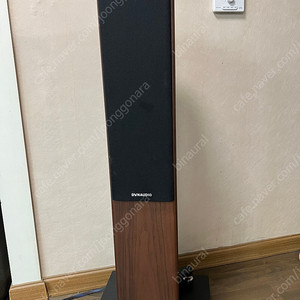 다인오디오 이보크 30 톨보이 스피커