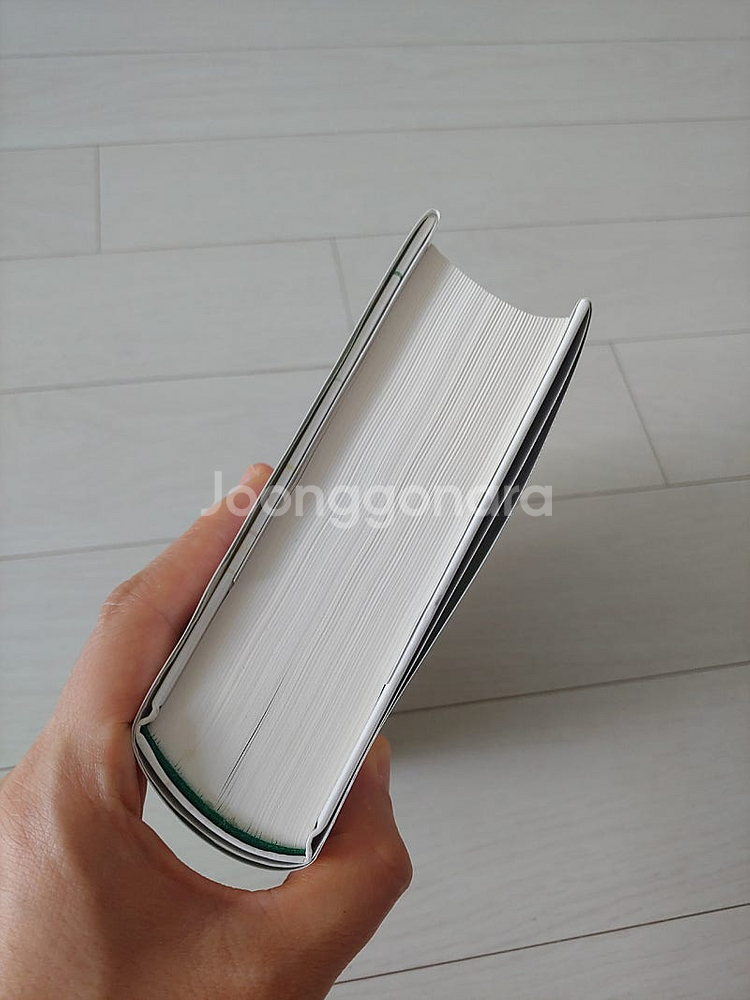무라카미 하루키 도시와 그 불확실한 벽(반값택포)--2