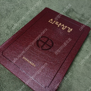 천주교 가톨릭 신약성경 46배판
