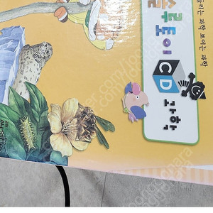 솔루토이 과학