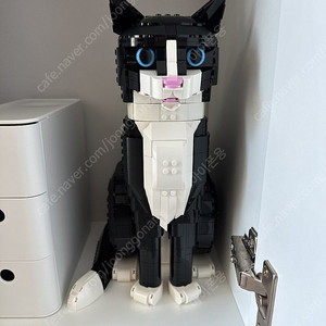 (직거래)레고 21349 턱시도 고양이 판매합니다.