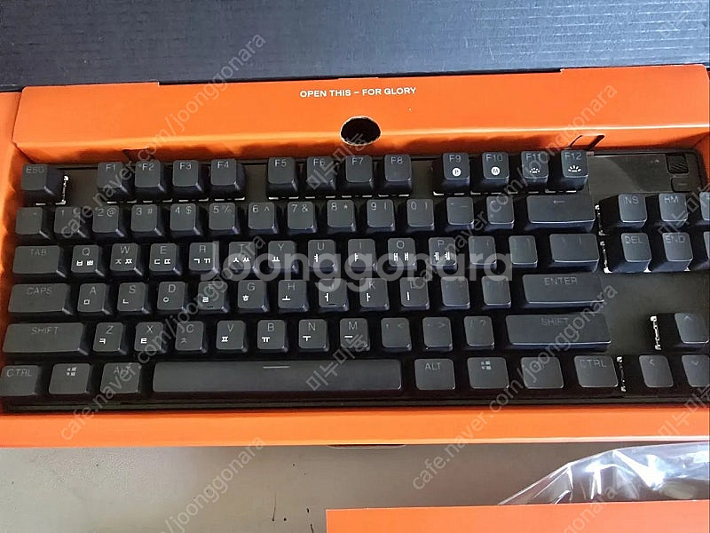 스틸시리즈apex pro tkl gen3 + 루프스킨커...--1