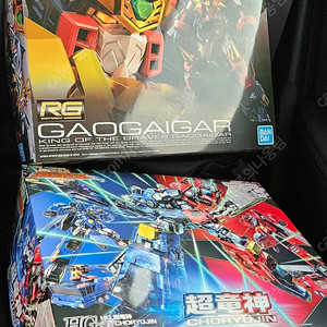 rg 가오가이거 & hg초룡신