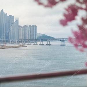 부산 광안리 오션뷰 숙소 양도합니다 (7/4-5 금-토)
