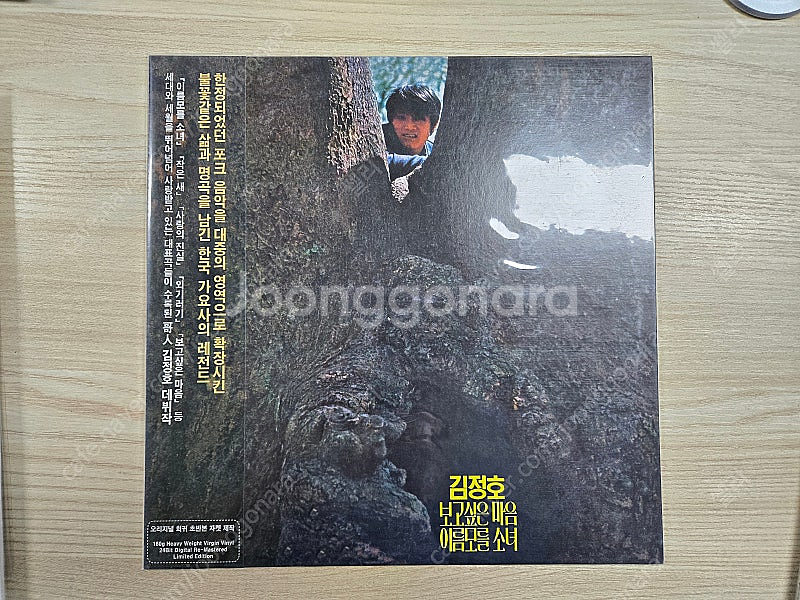 절판된 재발매 LP 12장 일괄, 박인희,김추자,정훈희...--3