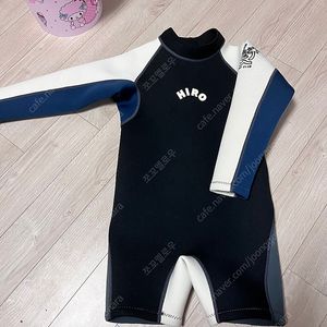 히로 25스윔수트