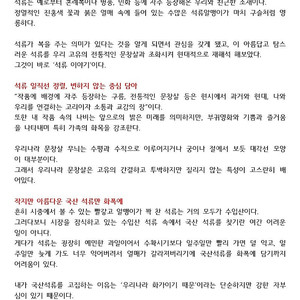 빈느 헤어쿠션 헤어팡팡