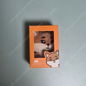 데이식스 데니멀즈 24케