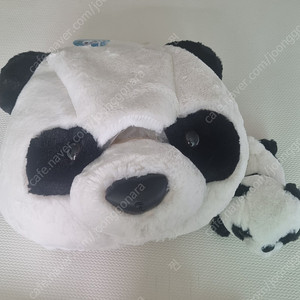 판다 인형탈