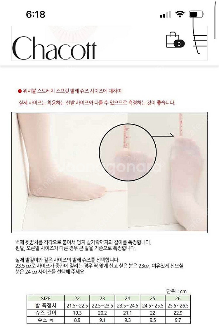 챠코트 발레슈즈--2