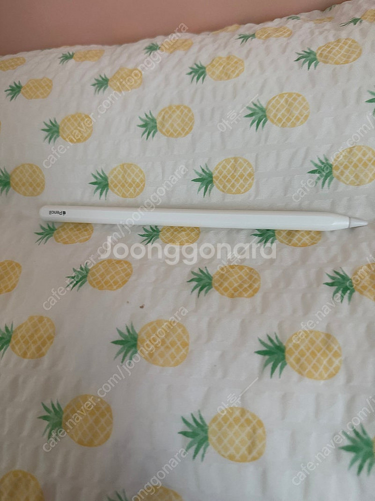 애플펜슬 2세대--0